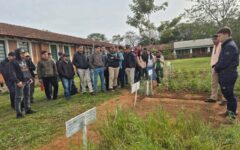 presentación de trabajos artigas (3)