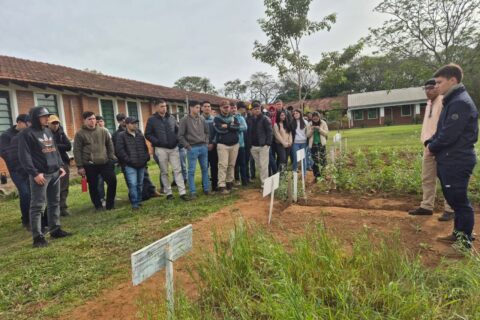 presentación de trabajos artigas (3)