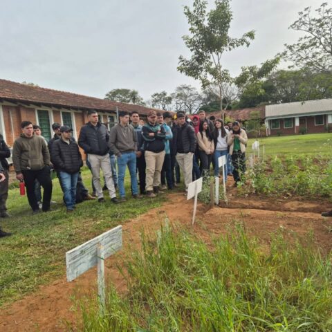 presentación de trabajos artigas (3)