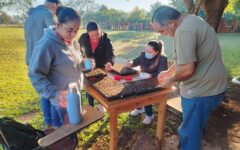 prod plantines hortícolas (2)