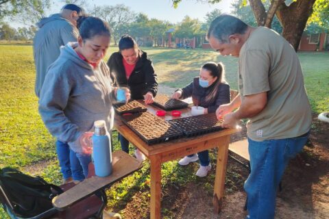 prod plantines hortícolas (2)