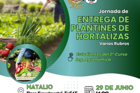 ent plant nat