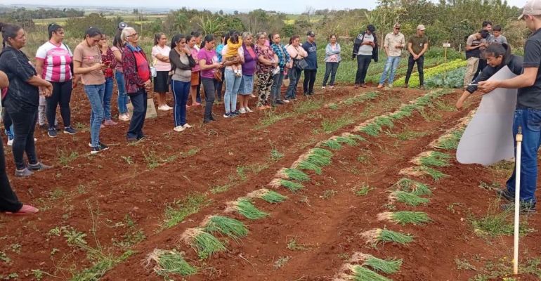 entrega de cebollas (2)