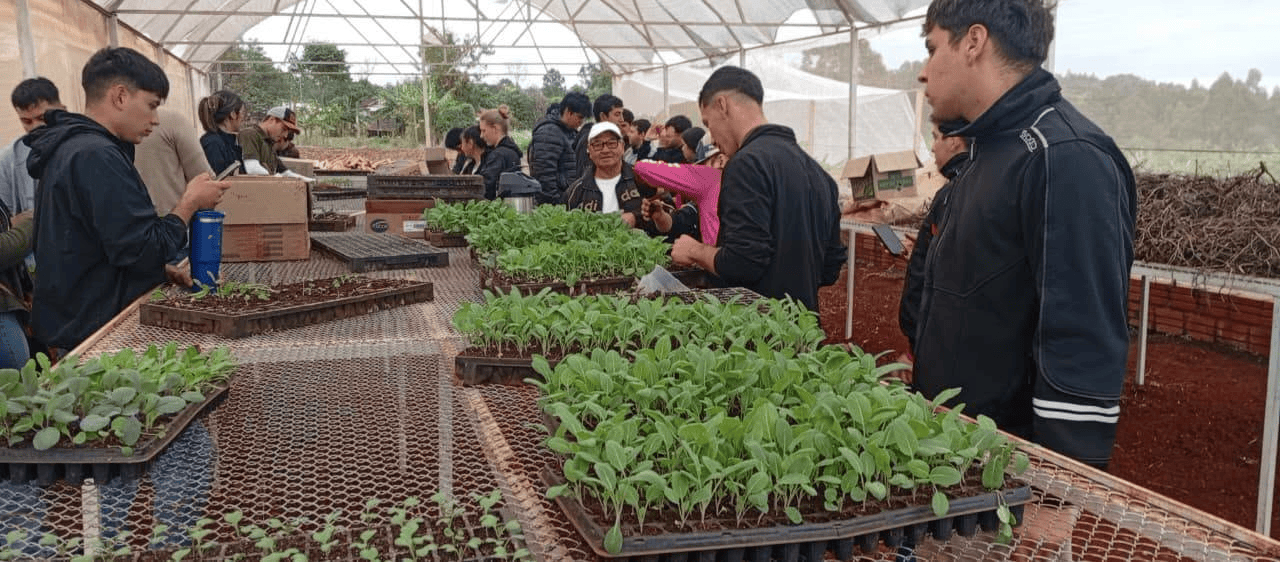 entrega de hortalizas (2)