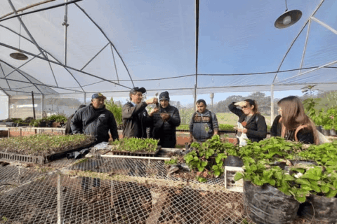 gira de estudio artigas (2)
