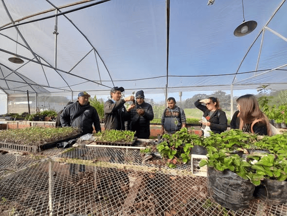 gira de estudio artigas (2)