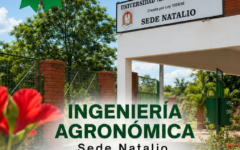 acreditación agronomía nat