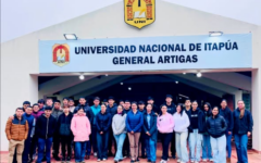 defensivos art (2)