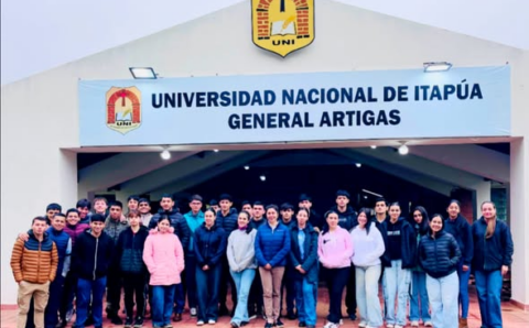 defensivos art (2)