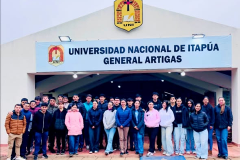 defensivos art (2)