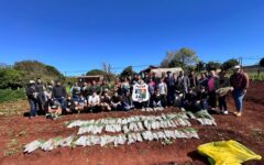 entrega cebollas (1)