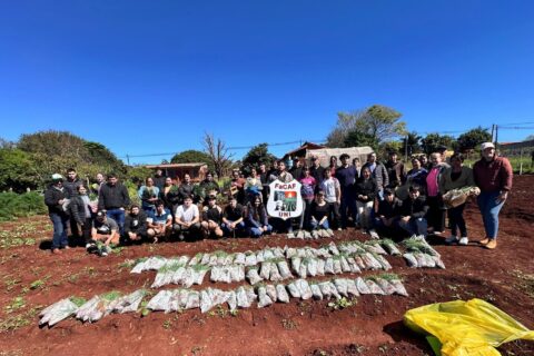 entrega cebollas (1)