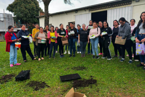 entrega de plantines spp (3)