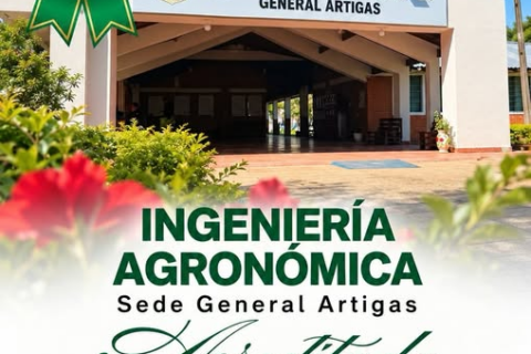 Acredtitación Artigas