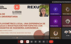 extensión (2)