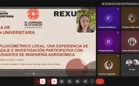 extensión (2)
