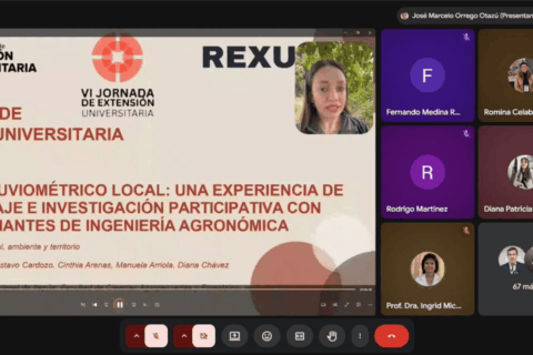 extensión (2)