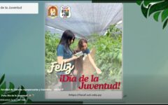 image (4)