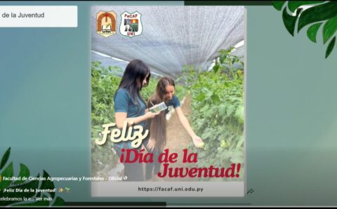 image (4)