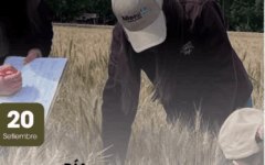 ing agro