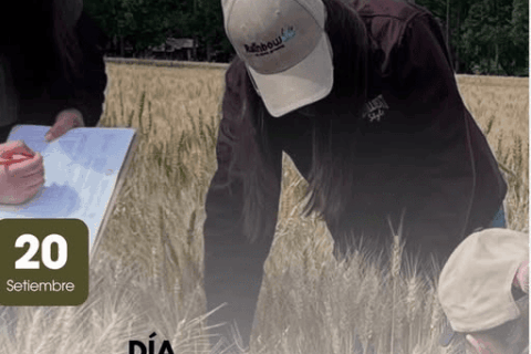 ing agro