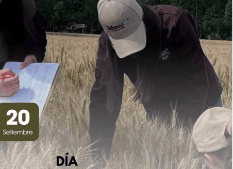 ing agro