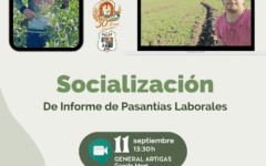 pasantía artigas (1)