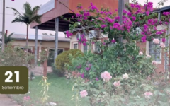primavera