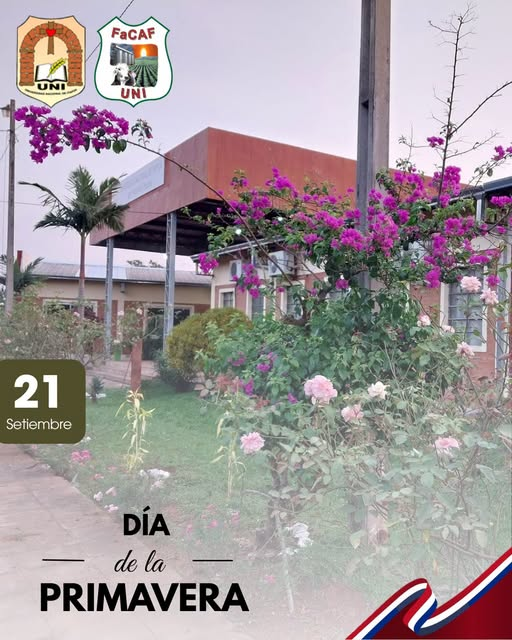 primavera