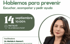 taller suicidio