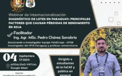 webinar internacionalización