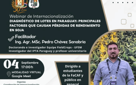 webinar internacionalización