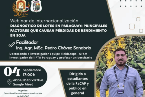 webinar internacionalización