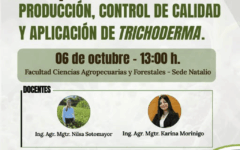 curso posgrado