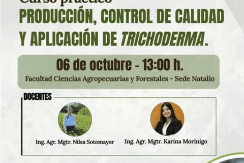curso posgrado