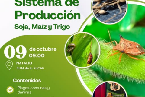evento plagas cultivos