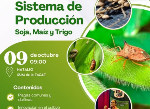 evento plagas cultivos