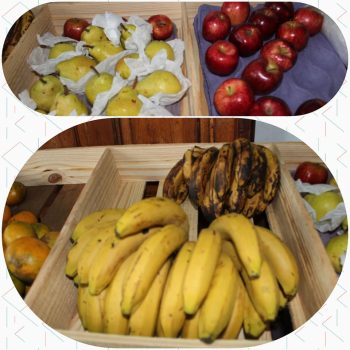 107795864_1595541470624003_7512107644694969447_n