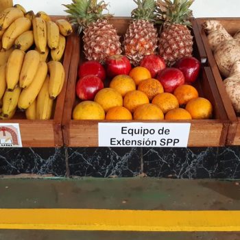 107933248_1595541573957326_8184182585140178242_n