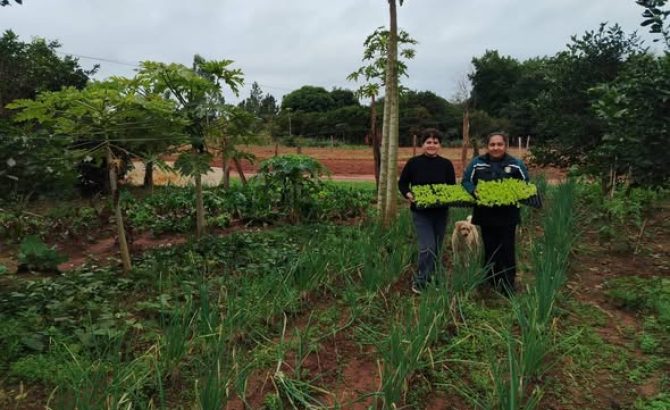 entrega de plantines (2)