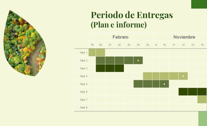 fechas dae entregas de informes_page-0001