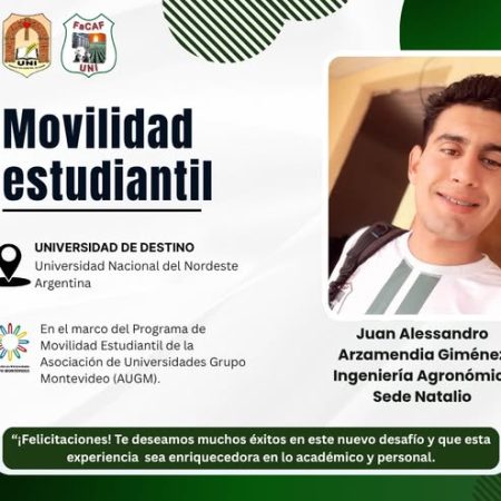 movilidad estudiantil (3)