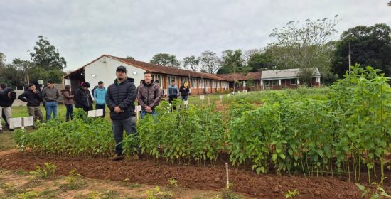 presentación de trabajos artigas (1)